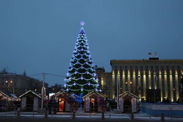 Новогоднюю ель в центре Воронежа установят и нарядят за 1,7 млн рублей Новогоднюю ель в центре Воронежа установят и нарядят за 1,7 млн рублей