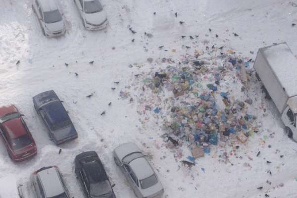 В Воронеже управляющая компания оставила преемнику горы мусора В Воронеже управляющая компания оставила преемнику горы мусора
