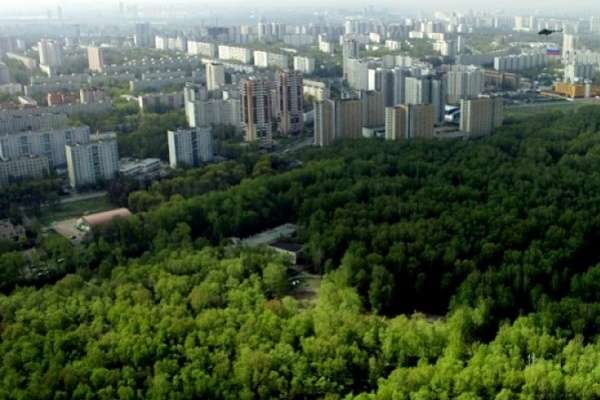 В Воронеже продолжается разбирательство с яблоневым садом В Воронеже продолжается разбирательство с яблоневым садом