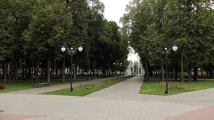 Главная картинка новости: Парк «Орленок» в Воронеже останется без революционных изменений