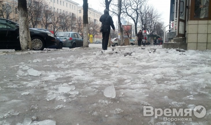 Каждый третий воронежец зимой работает активнее