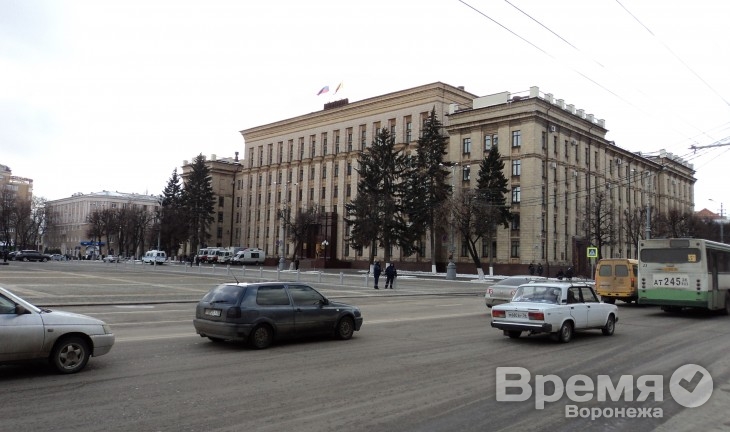 Воронежские чиновники объяснили, какие НКО могут рассчитывать на получение государственных грантов