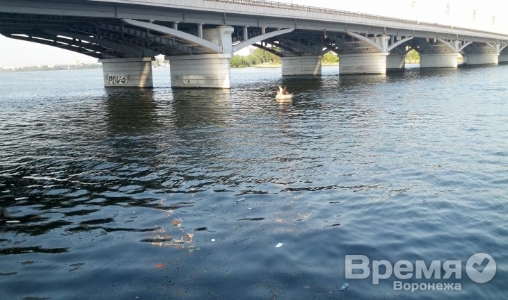 К реконструкции воронежского водохранилища привлекут международных специалистов