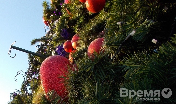 На площади в Воронеже повалили 9-метровую новогоднюю ёлку