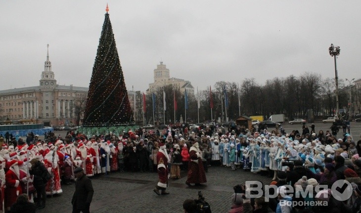 Мэрия Вронежа: Решение об отмене массовых мероприятий в городе может принять только полиция