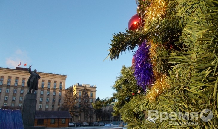 После волгоградских терактов к главной ёлке Воронежа будут пускать через металлодетекторы