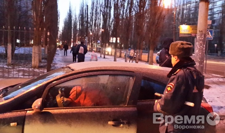 Гаишники объяснили воронежским водителям зачем нужны детские автокресла
