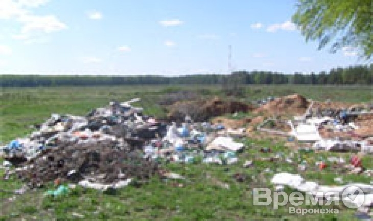 В Воронежской области мусор будут перерабатывать и использовать в качестве вторичных материалов