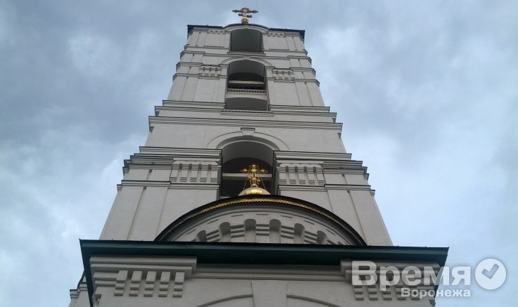 До завершения росписи благовещенского собора воронежцам осталось собрать 143,6 млн рублей