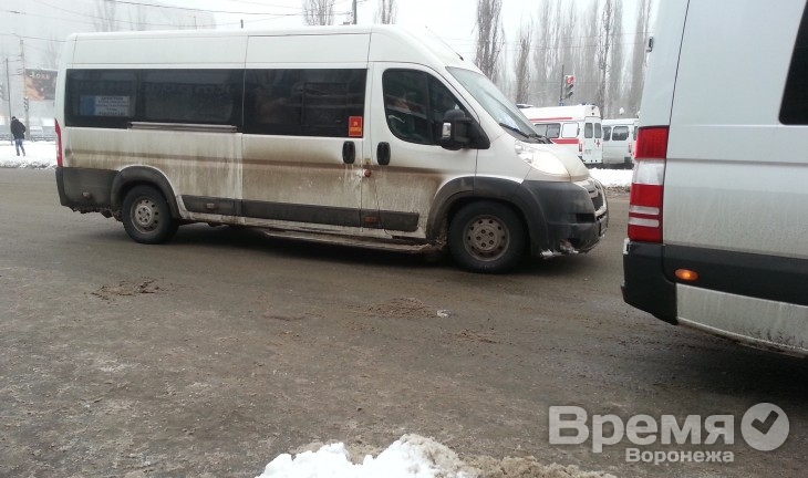 Воронежские гаишники начали массовую проверку автобусов и маршруток