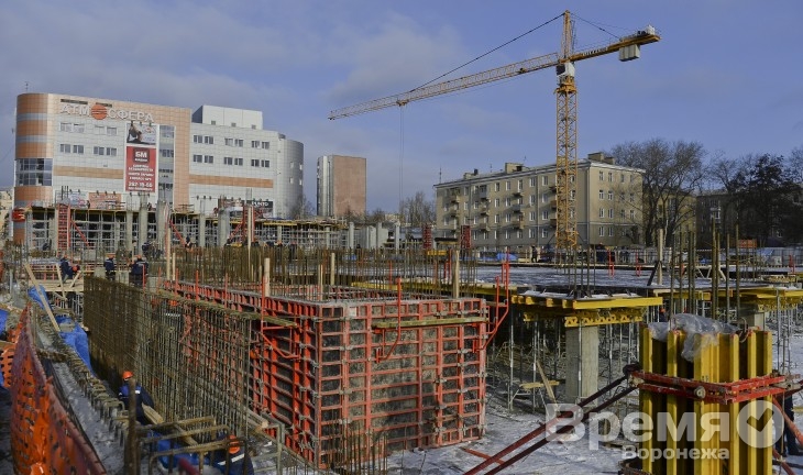 Управлять Центральным рынком в Воронеже будет кооператив сельхозпроизводителей
