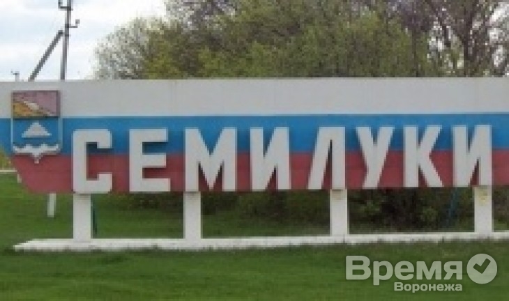 В Семилуках утвердили нового мэра