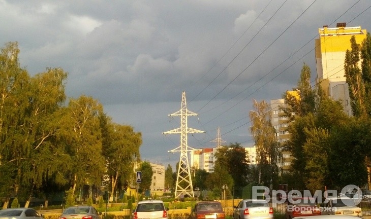 В этом году в Воронеже посадят более 6,6 тысячи деревьев