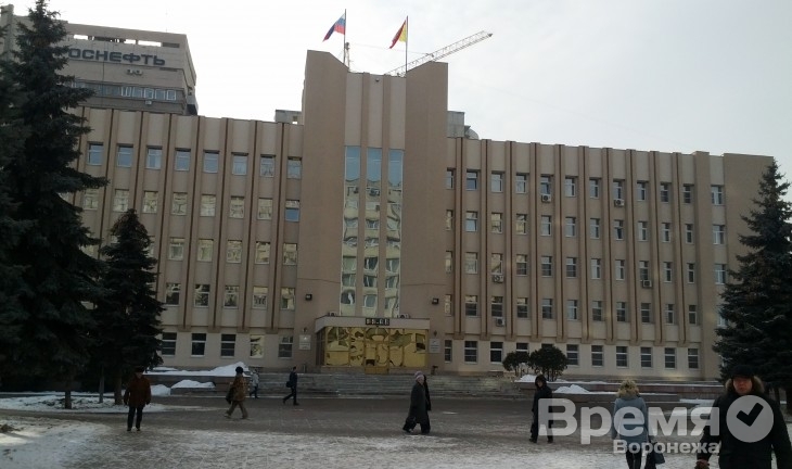 Что принесёт Воронежской области новая схема выборов регионального парламента
