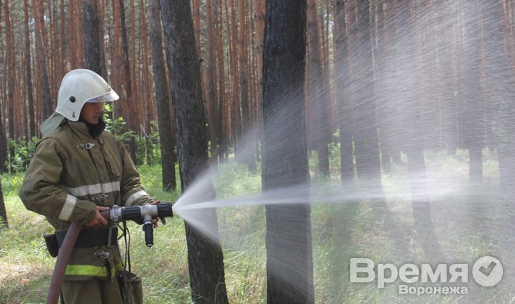 В лесах Воронежской области установили 22 системы видеонаблюдения