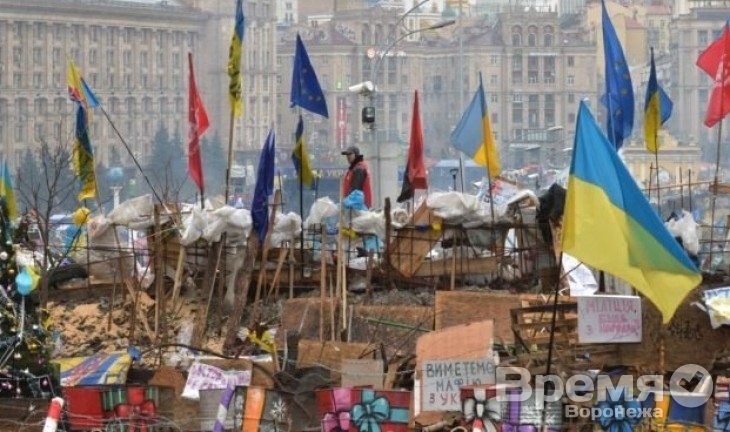 Воронежский сенатор: На Украине реализуется сценарий «арабской весны»