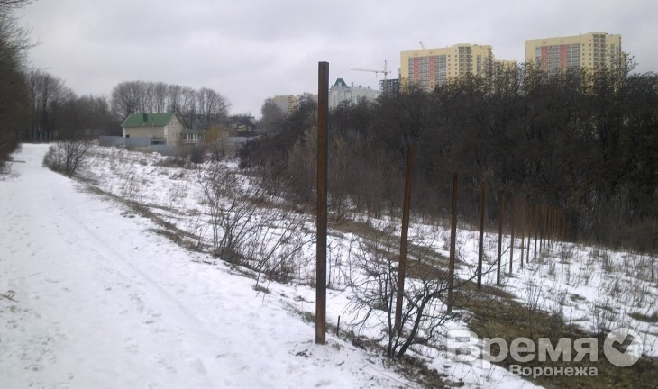 Воронежцы испугались, что на территории парка «Динамо» началась стройка