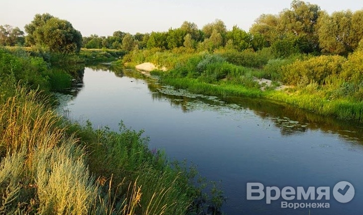 В Воронежской области восстановят историческое русло реки Битюг