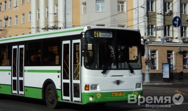 Муниципальные программы по развитию Воронежа оказались неэффективными