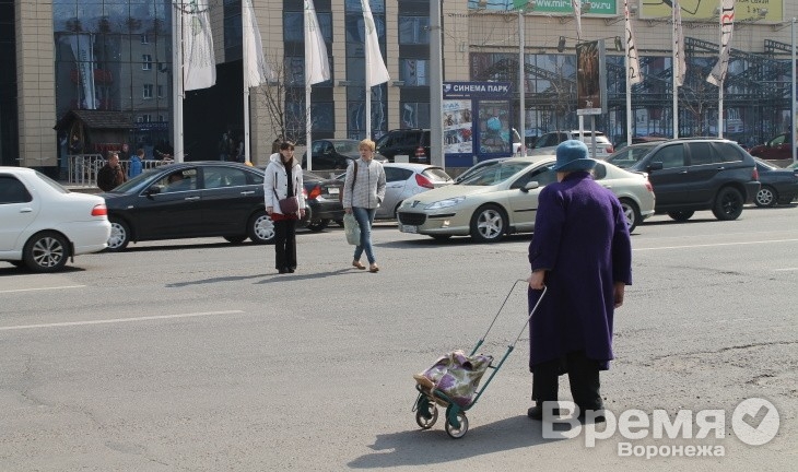 Помешают ли заборы воронежцам?