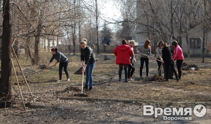 Алексей Гордеев просит воронежцев сделать уборку
