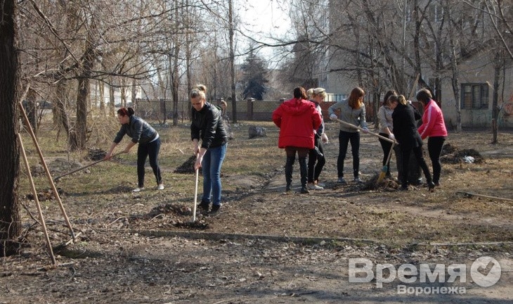 На городской субботник вышли 23 тысячи воронежцев