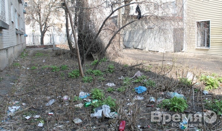 В центре Воронежа дом утопает в помойке
