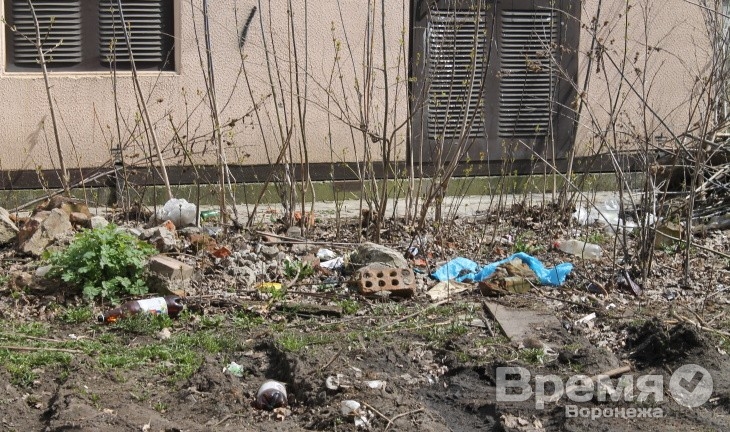 Мэрия просит воронежцев сообщать о несанкционированных свалках