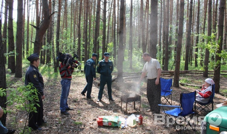 Воронежцам запретили разжигать костры в лесах