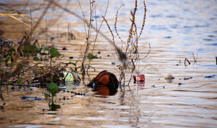 Экологи бьют тревогу – река Воронеж захламлена пустыми бутылками