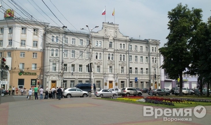 Эффективность экономических показателей Воронежа сравнивают с показателями маленьких городков