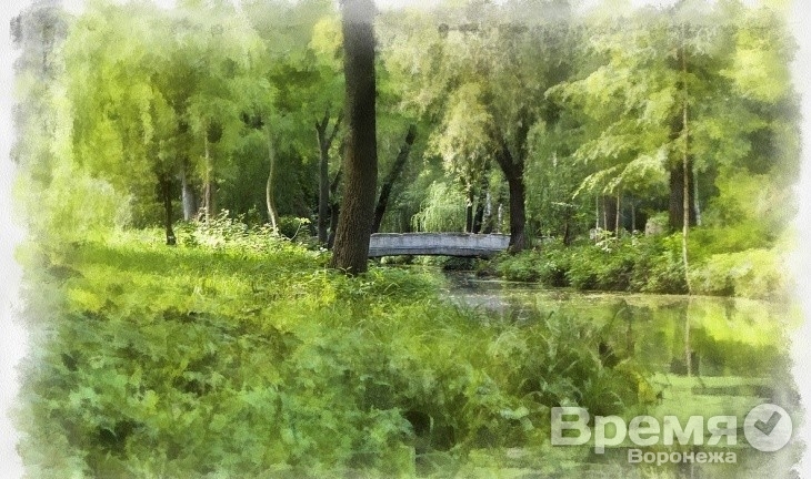 Воронежцы уверены, что название парка «Динамо» менять не стоит