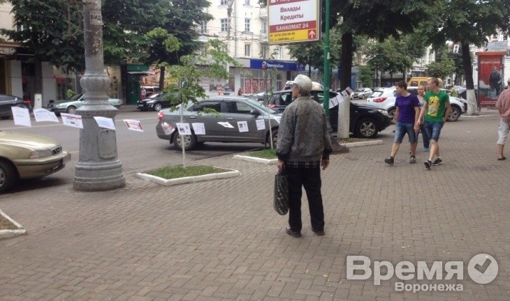 Воронежские ура-патриоты пиарятся за счёт правозащитников
