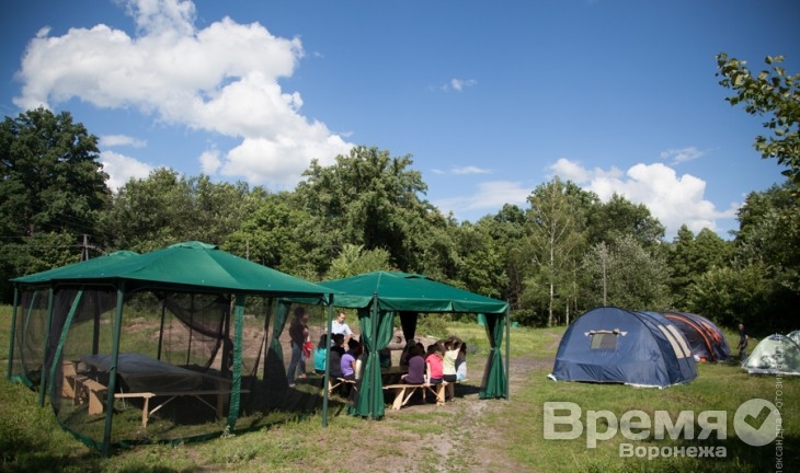Воронежцев приглашают стать волонтёрами заповедника