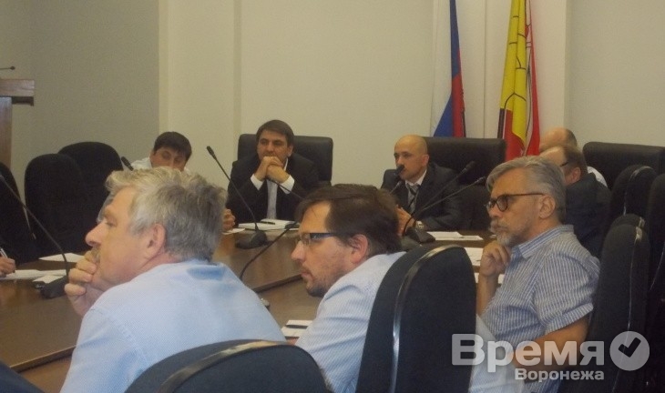 Новая модель местного самоуправления у воронежских экспертов понимания не встретила