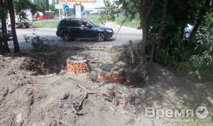 Специалисты «РВК-Воронеж» не заметили газона