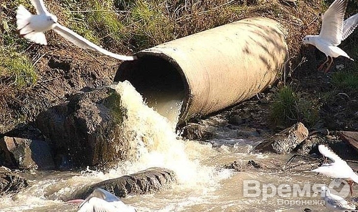 В Задонске сточные воды до сих пор сливаются в Дон