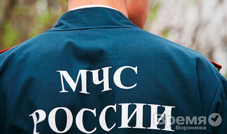 Воронежская область сама справляется с беженцами