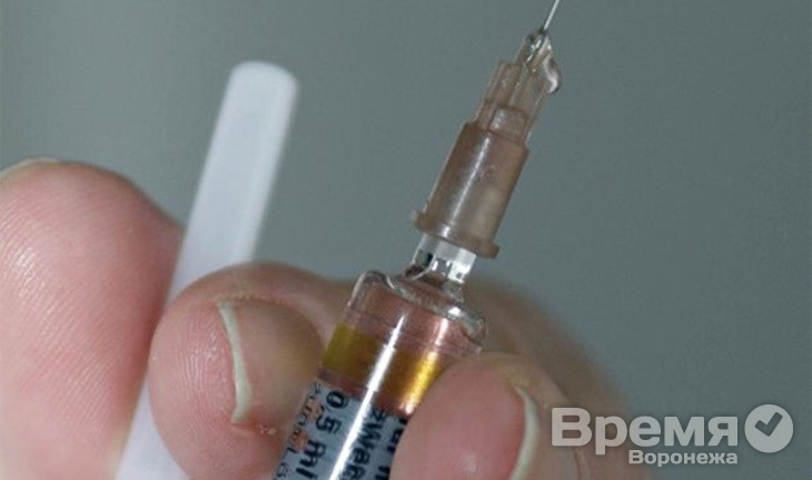 Воронежцам не стоит бояться украинских беженцев