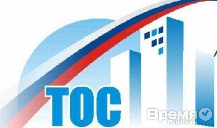 Воронежские ТОС получат программное финансирование в 2015 году