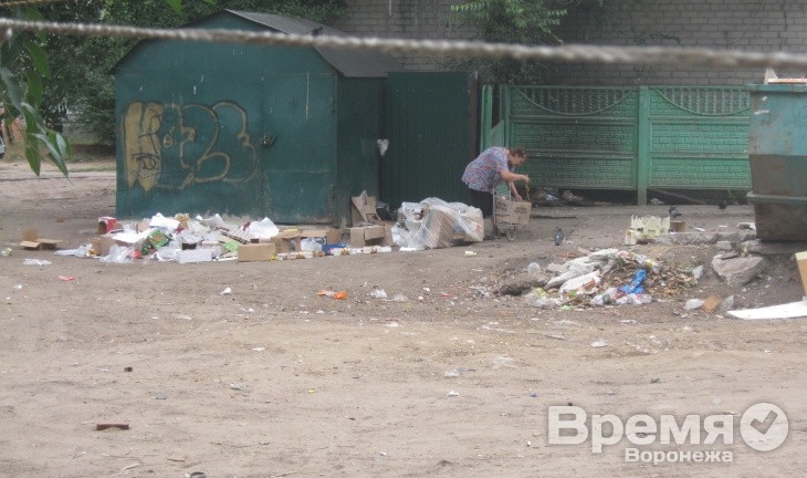 Воронежские коммерсанты продолжают вывозить свой мусор за чужой счёт