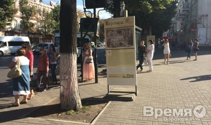 Вандалы Воронежа охотятся на «Бессмертный подвиг»