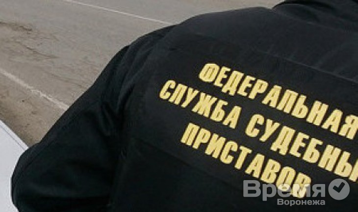 Воронежец уже четыре месяца прячет сыновей от бывшей жены и судебных приставов