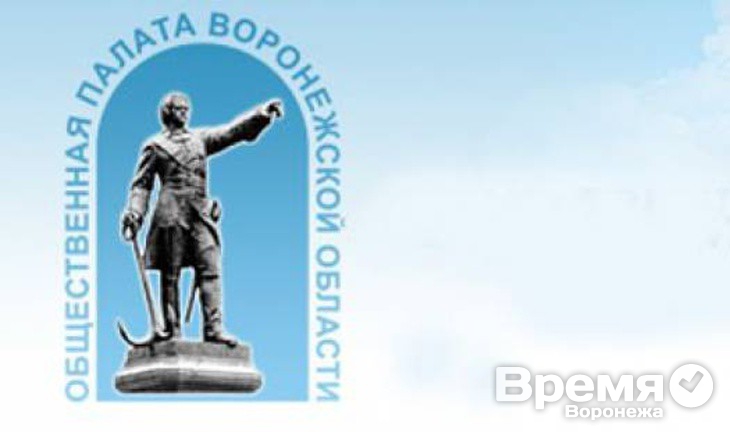 Общественная палата Воронежа выдвинула в Почётные граждане целителей тела и души