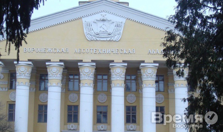 В Воронеже будут выращивать морозоустойчивые растения