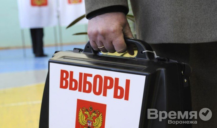 Воронежцы не жалуются на то, что начальство принуждает их голосовать по месту работы