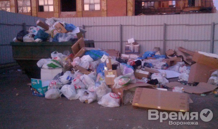 Мэрия Воронежа пообещала спасти жителей от мусора, если УК «ЖКХ» Михаила Палютина не начнет платить за вывоз Мэрия Воронежа пообещала спасти жителей от мусора, если УК «ЖКХ» Михаила Палютина не начнет платить за вывоз