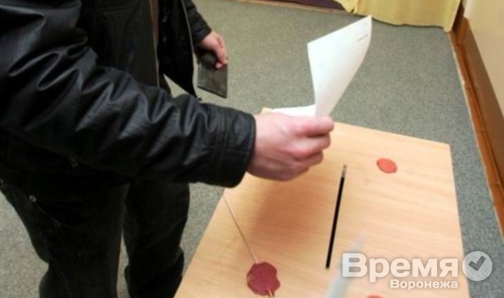 В Воронеже тоже будут выбирать власть в «Новороссии»?