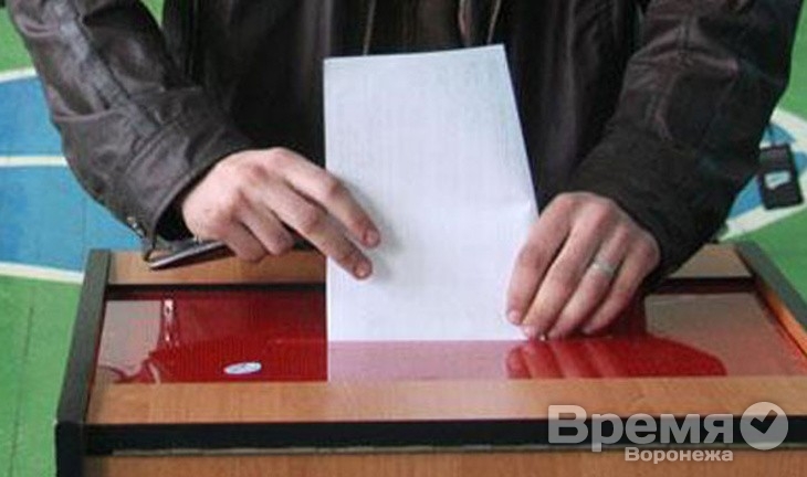 В Воронеже снова организуют выборы с предрешённым результатом