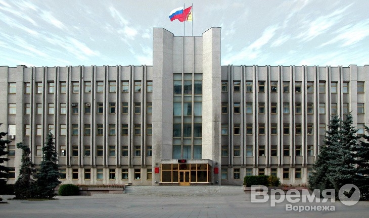 В Воронеже не сохранит своих кресел половина областных депутатов